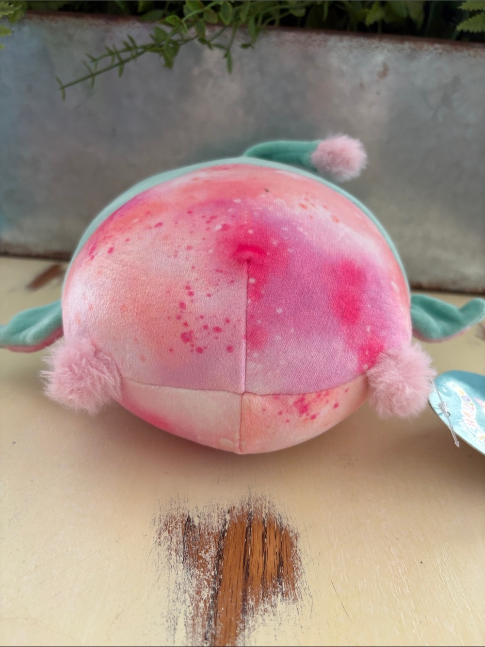 Squishmallows 8" Gala The Griffin Plush Soft Pink & Green Stuffed Animal NEW NWT - Picture 7 of 7